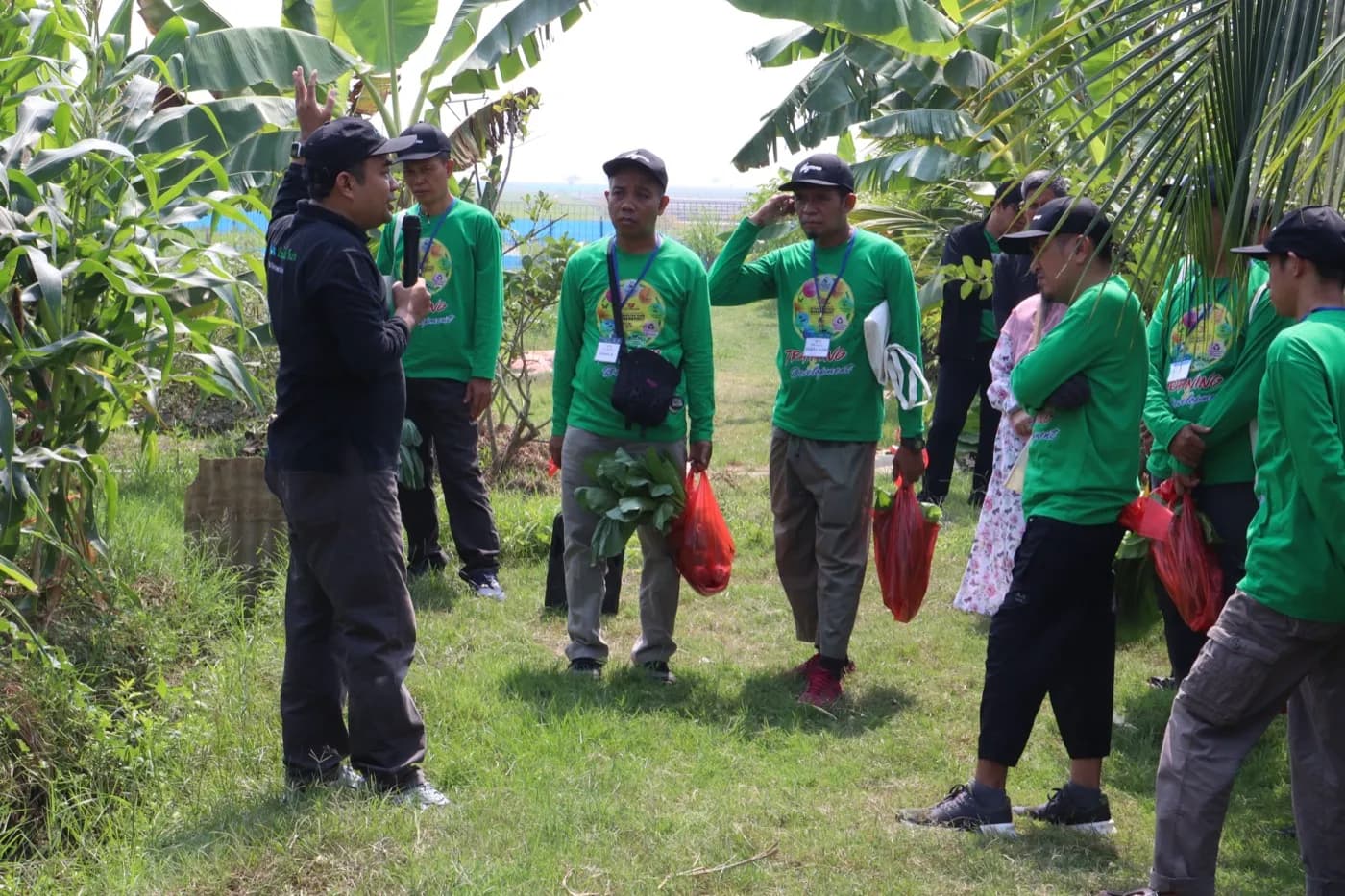Sesi penjelasan di antara pohon pisang dan jagung