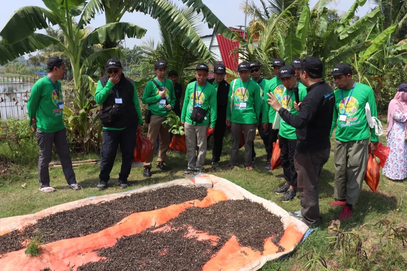 Pemandu menjelaskan pengeringan bahan pupuk organik